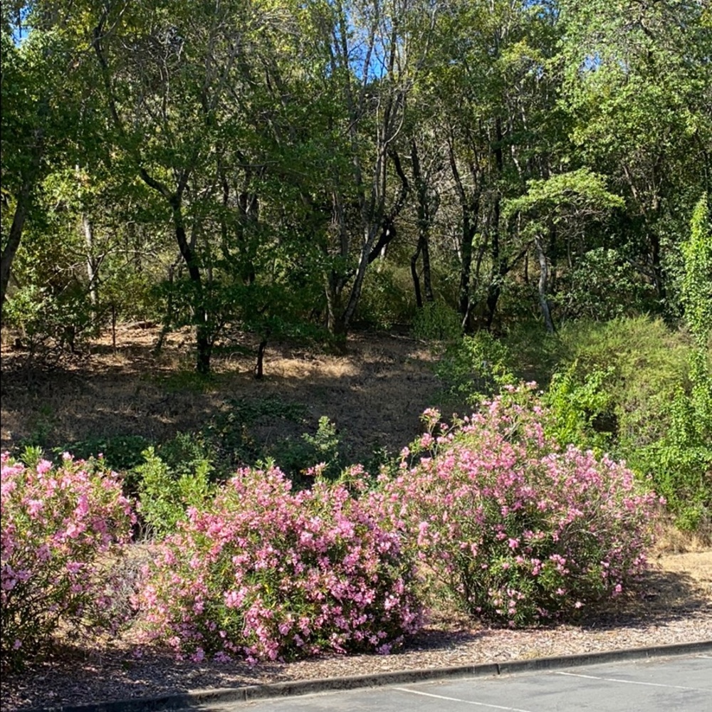 Meet your Posher, Hope